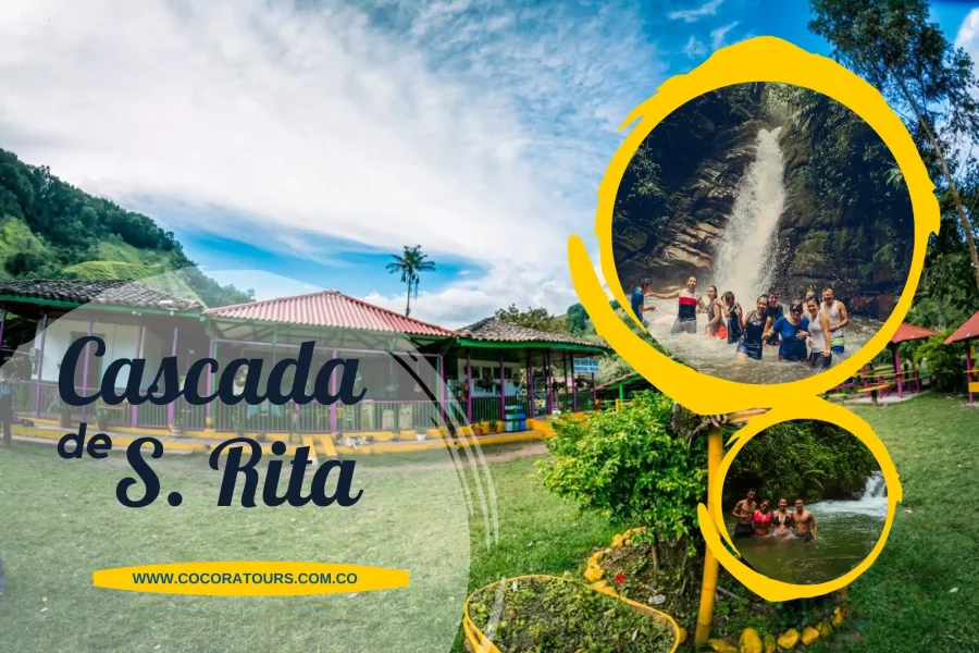 Pasadía Valle del Cocora